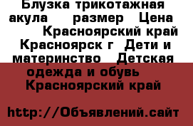 Блузка трикотажная акула 140 размер › Цена ­ 530 - Красноярский край, Красноярск г. Дети и материнство » Детская одежда и обувь   . Красноярский край